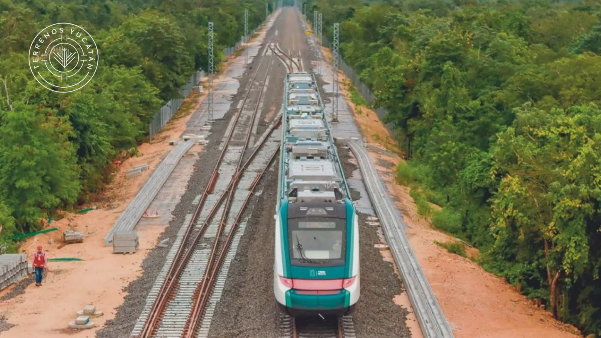 tren maya progreso